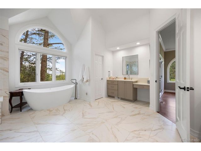 120 Silver Leaf Way, Castle Rock, CO 80108