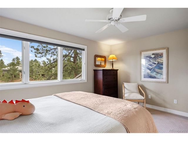 120 Silver Leaf Way, Castle Rock, CO 80108