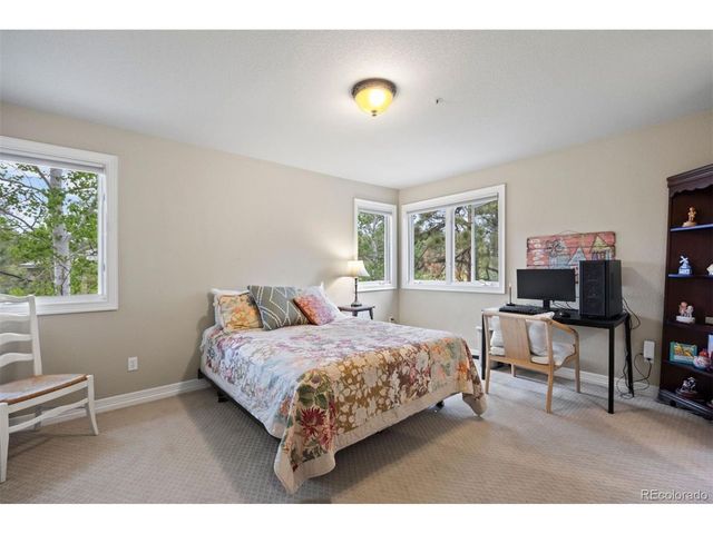 120 Silver Leaf Way, Castle Rock, CO 80108