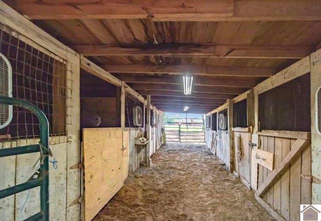 391 Ezell, Murray, KY 42071