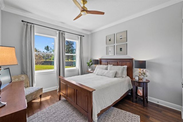 9235 TILLINGHAST DRIVE, Tampa, FL 33626