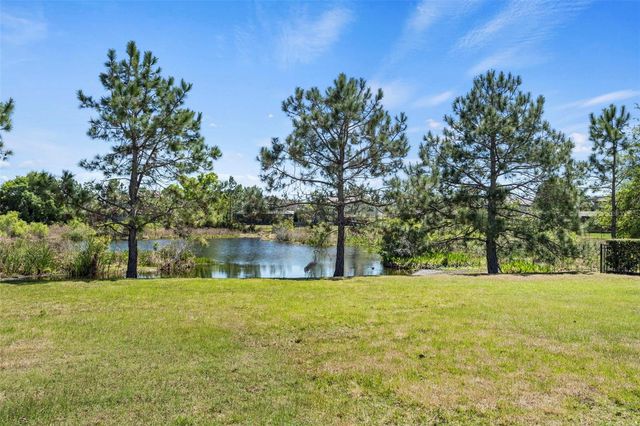 9235 TILLINGHAST DRIVE, Tampa, FL 33626