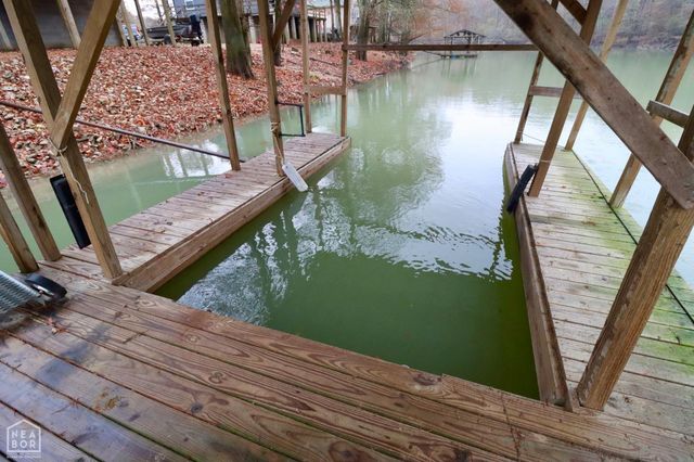 19 Clay 235, Knobel, AR 72435