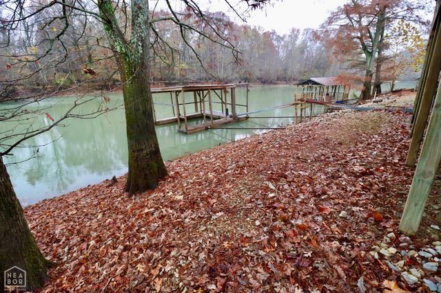 19 Clay 235, Knobel, AR 72435