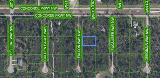 206 FALCON Way NW, Lake Placid, FL 33852