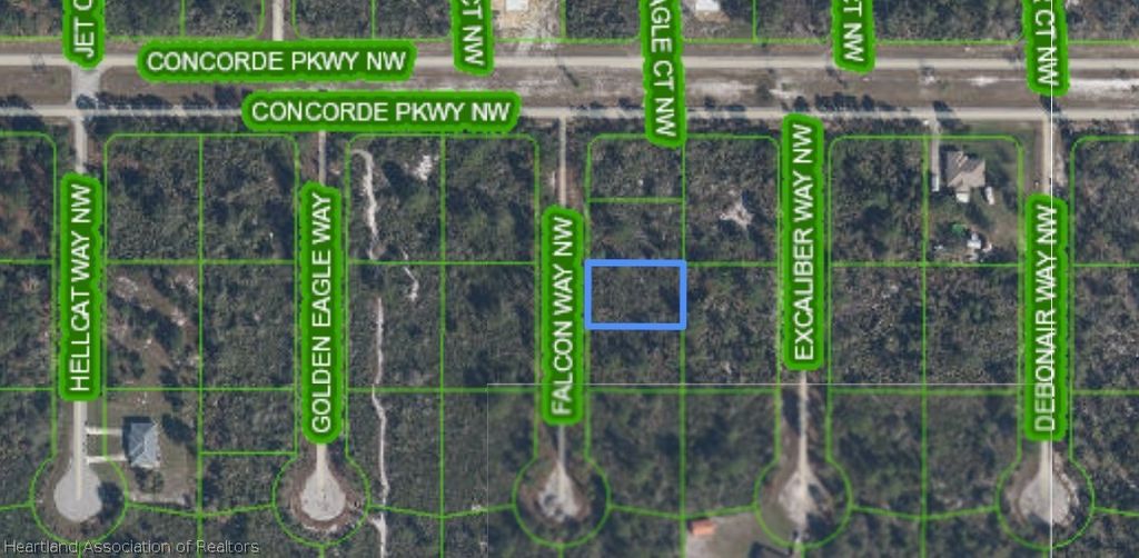 206 FALCON Way NW, Lake Placid, FL 33852