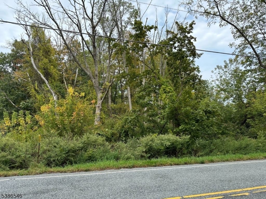 413 Mountain Lake Rd, Liberty Twp., NJ 07838