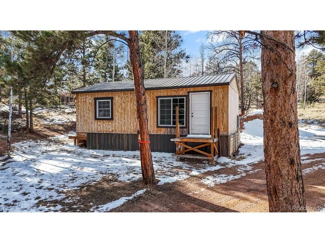 2270 Pikes Peak Dr, Florissant, CO 80816