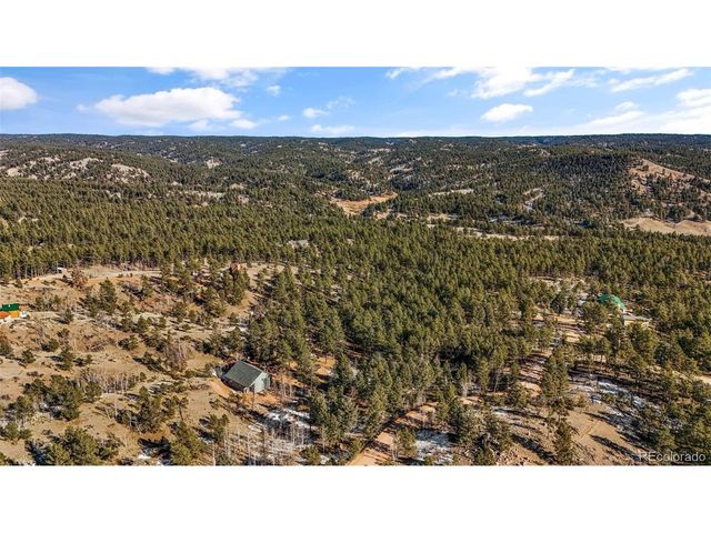 2270 Pikes Peak Dr, Florissant, CO 80816