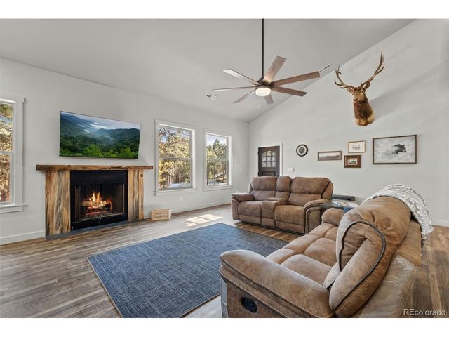2270 Pikes Peak Dr, Florissant, CO 80816