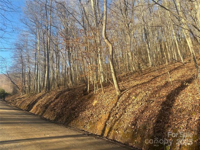 TBD Upward Way 236 & 237, Waynesville, NC 28785