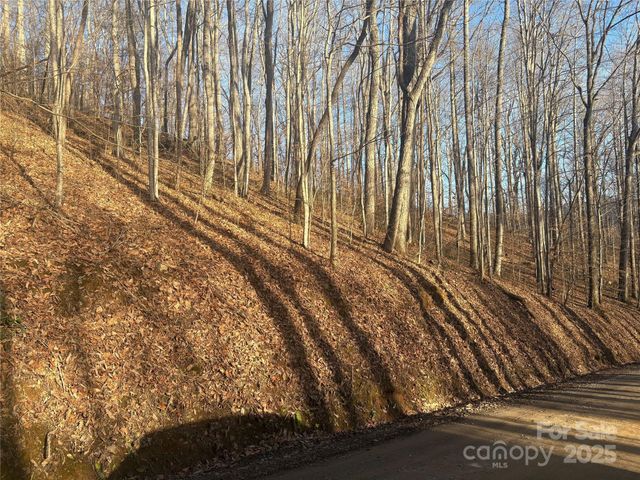 TBD Upward Way 236 & 237, Waynesville, NC 28785