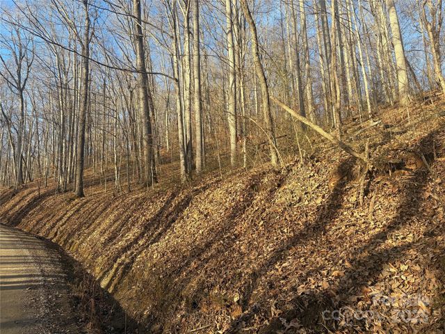 TBD Upward Way 236 & 237, Waynesville, NC 28785