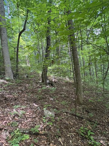 TBD Upward Way 236 & 237, Waynesville, NC 28785