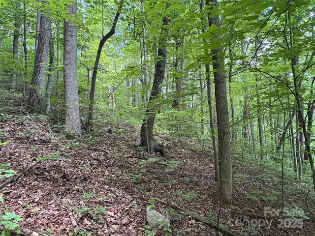 TBD Upward Way 236 & 237, Waynesville, NC 28785