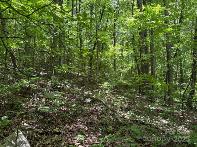 TBD Upward Way 236 & 237, Waynesville, NC 28785