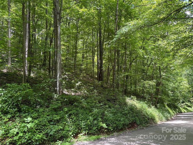 TBD Upward Way 236 & 237, Waynesville, NC 28785