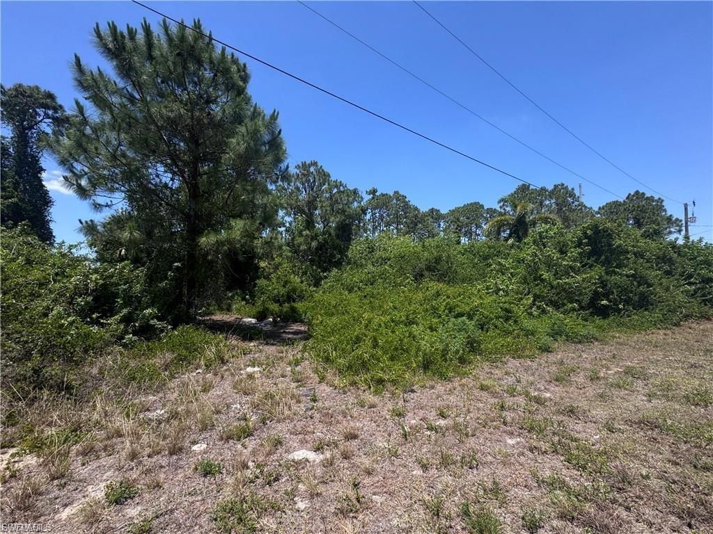 56 Wanda AVE S, LEHIGH ACRES, FL 33976 — photo 5