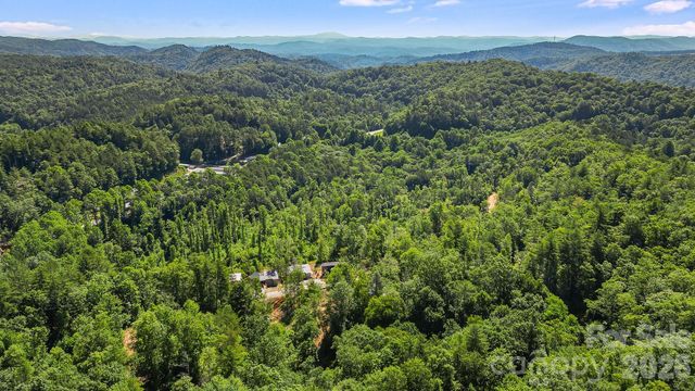 110 South Fork Trail 10, Lake Toxaway, NC 28747