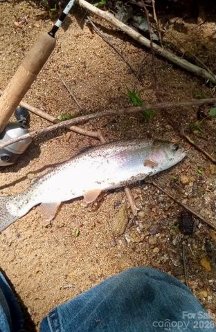 110 South Fork Trail 10, Lake Toxaway, NC 28747