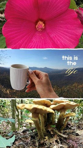 110 South Fork Trail 10, Lake Toxaway, NC 28747