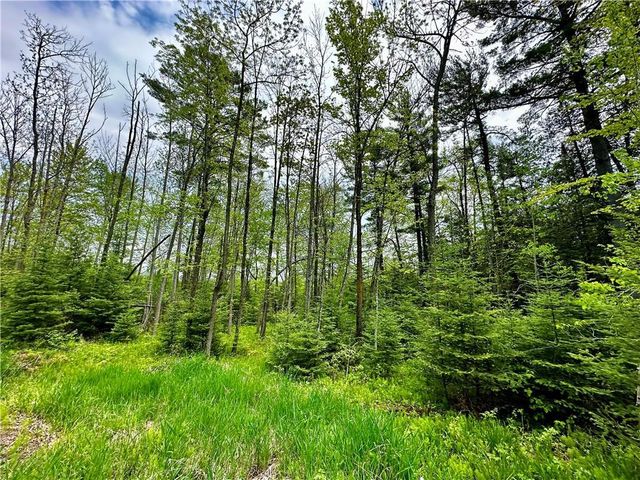 15433 State Highway 178, Jim Falls, WI 54748