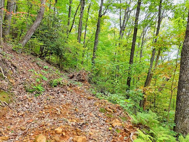 Lot 30 Skyview Drive, Hayesville, NC 28904