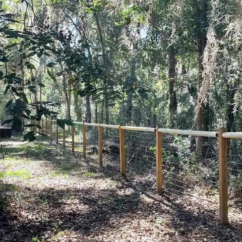 1156 Marsh Drive, Townsend, GA 31331