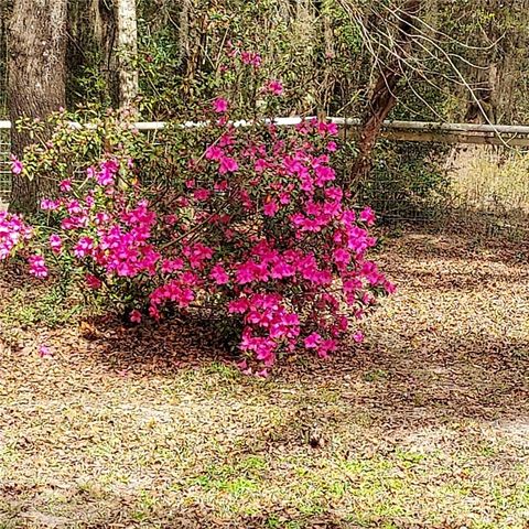 1156 Marsh Drive, Townsend, GA 31331