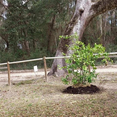 1156 Marsh Drive, Townsend, GA 31331