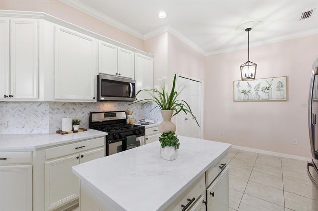 8309 OLD TOWN DRIVE, Tampa, FL 33647