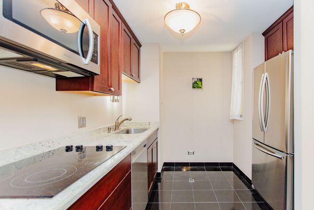 233 E Erie Street 1305, Chicago, IL 60611