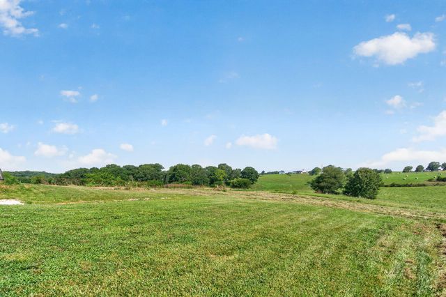 338 Skyla Drive, Ozark, MO 65721