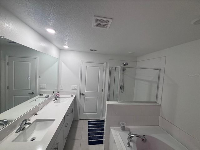 17747 TAWNY MALT PLACE, Land O Lakes, FL 34637