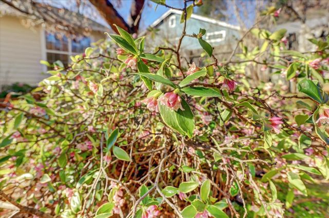 143 Scotia Pines Cir, Grass Valley, CA 95945