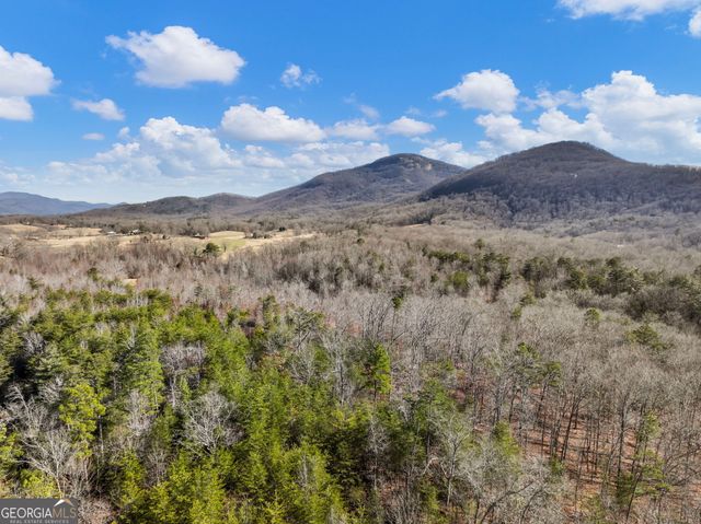 175 Lands End Trail, Cleveland, GA 30528