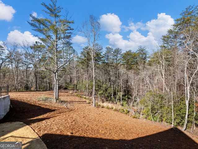 175 Lands End Trail, Cleveland, GA 30528