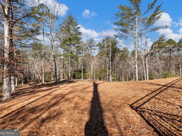 175 Lands End Trail, Cleveland, GA 30528