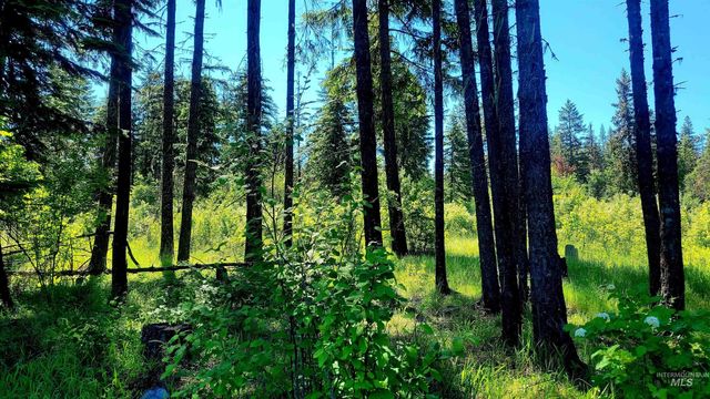 1337 Tie Creek Dr, Orofino, ID 83544