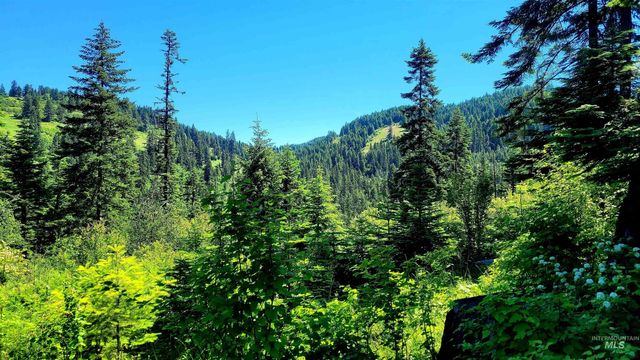 1337 Tie Creek Dr, Orofino, ID 83544