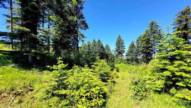 1337 Tie Creek Dr, Orofino, ID 83544
