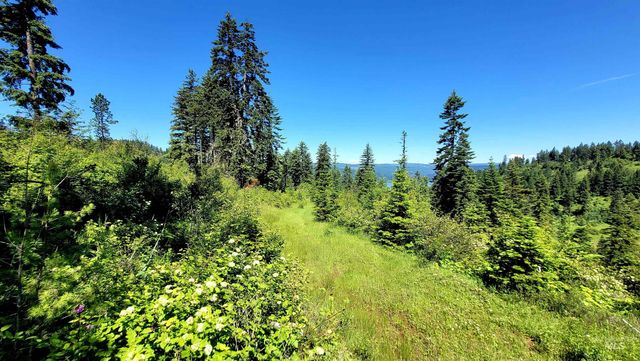 1337 Tie Creek Dr, Orofino, ID 83544