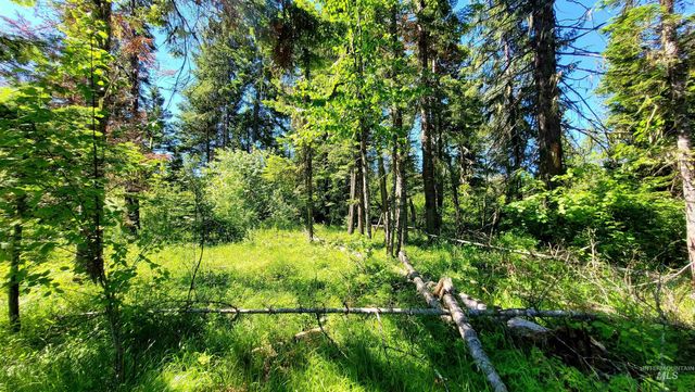 1337 Tie Creek Dr, Orofino, ID 83544