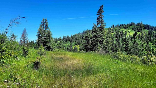1337 Tie Creek Dr, Orofino, ID 83544