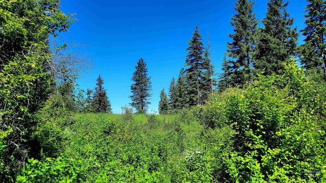 1337 Tie Creek Dr, Orofino, ID 83544