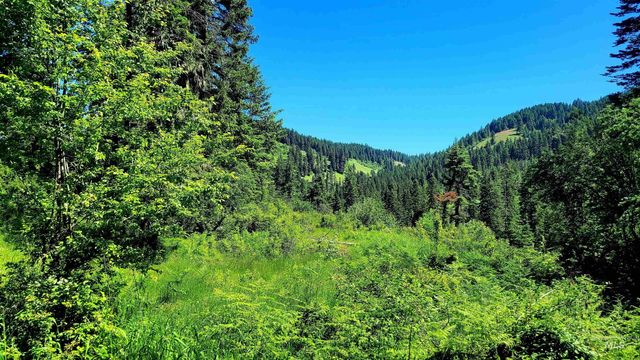 1337 Tie Creek Dr, Orofino, ID 83544
