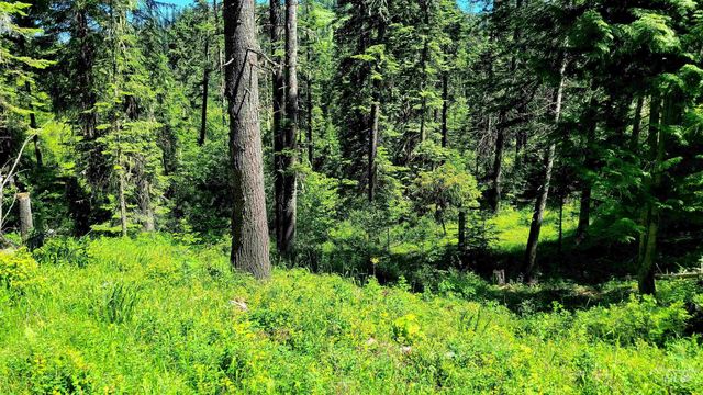 1337 Tie Creek Dr, Orofino, ID 83544