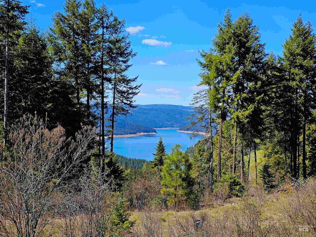 1337 Tie Creek Dr, Orofino, ID 83544