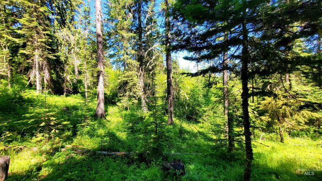 1337 Tie Creek Dr, Orofino, ID 83544