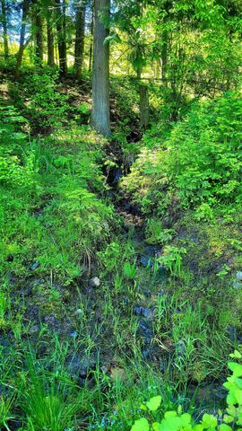 1337 Tie Creek Dr, Orofino, ID 83544